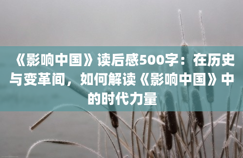 《影响中国》读后感500字：在历史与变革间，如何解读《影响中国》中的时代力量