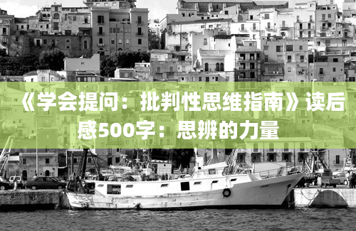 《学会提问：批判性思维指南》读后感500字：思辨的力量