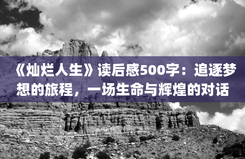 《灿烂人生》读后感500字：追逐梦想的旅程，一场生命与辉煌的对话