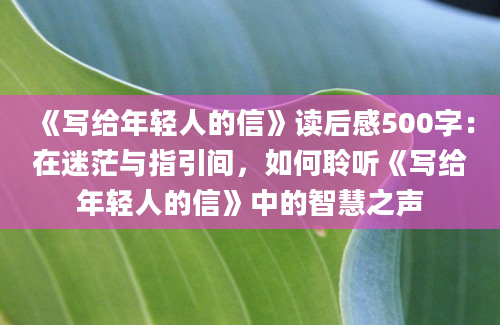 《写给年轻人的信》读后感500字：在迷茫与指引间，如何聆听《写给年轻人的信》中的智慧之声