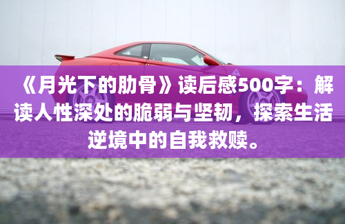 《月光下的肋骨》读后感500字：解读人性深处的脆弱与坚韧，探索生活逆境中的自我救赎。