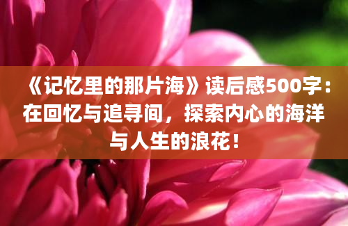 《记忆里的那片海》读后感500字：在回忆与追寻间，探索内心的海洋与人生的浪花！