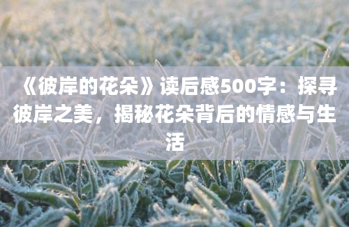 《彼岸的花朵》读后感500字：探寻彼岸之美，揭秘花朵背后的情感与生活