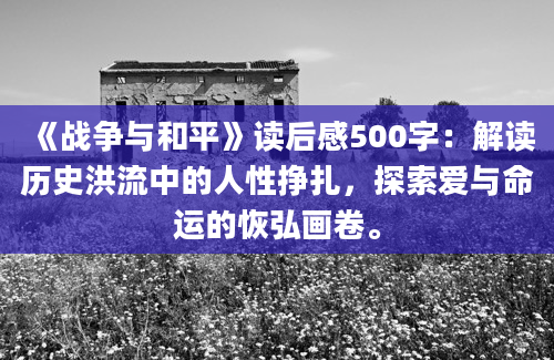 《战争与和平》读后感500字：解读历史洪流中的人性挣扎，探索爱与命运的恢弘画卷。