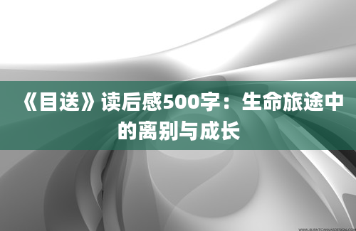 《目送》读后感500字：生命旅途中的离别与成长