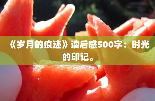 《岁月的痕迹》读后感500字：时光的印记。