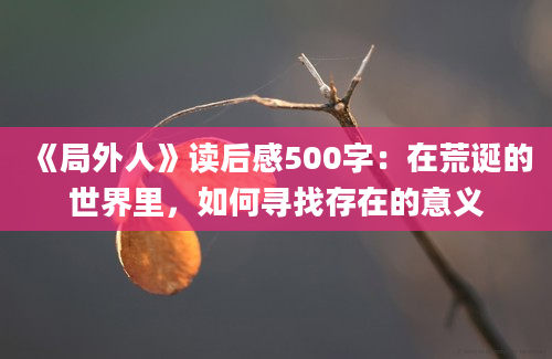 《局外人》读后感500字：在荒诞的世界里，如何寻找存在的意义