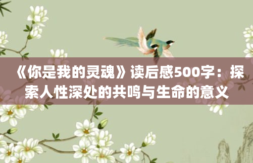 《你是我的灵魂》读后感500字：探索人性深处的共鸣与生命的意义