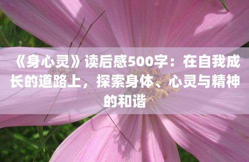 《身心灵》读后感500字：在自我成长的道路上，探索身体、心灵与精神的和谐