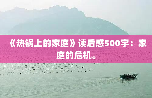 《热锅上的家庭》读后感500字：家庭的危机。