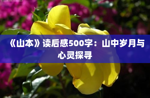 《山本》读后感500字：山中岁月与心灵探寻