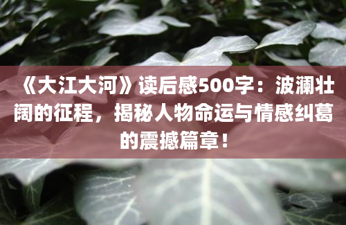 《大江大河》读后感500字：波澜壮阔的征程，揭秘人物命运与情感纠葛的震撼篇章！