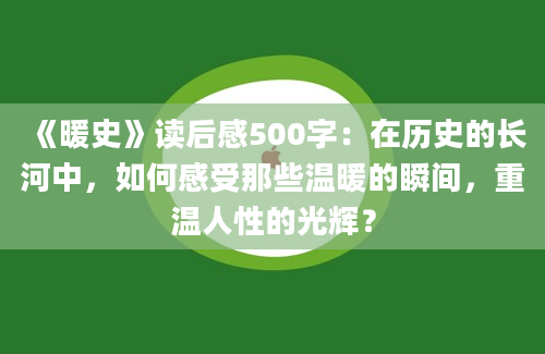 《暖史》读后感500字：在历史的长河中，如何感受那些温暖的瞬间，重温人性的光辉？