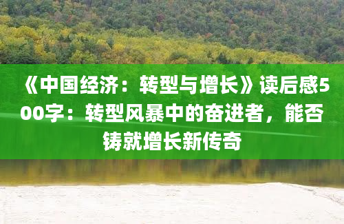 《中国经济：转型与增长》读后感500字：转型风暴中的奋进者，能否铸就增长新传奇