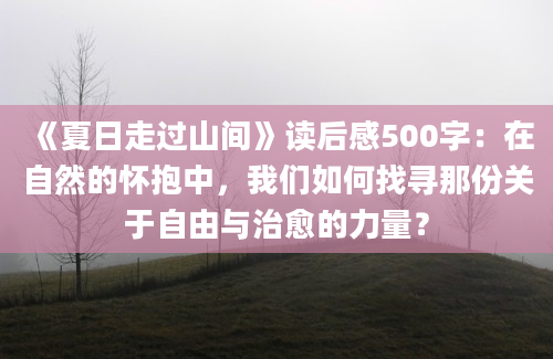 《夏日走过山间》读后感500字：在自然的怀抱中，我们如何找寻那份关于自由与治愈的力量？