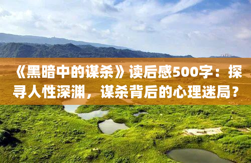 《黑暗中的谋杀》读后感500字：探寻人性深渊，谋杀背后的心理迷局？