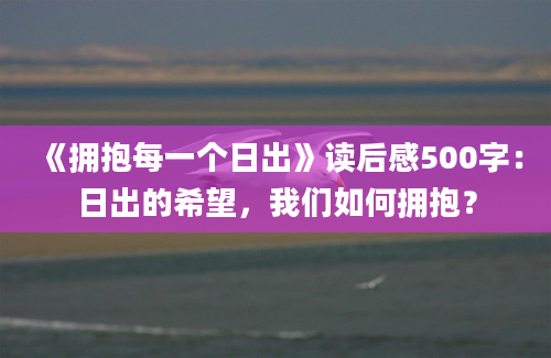 《拥抱每一个日出》读后感500字：日出的希望，我们如何拥抱？