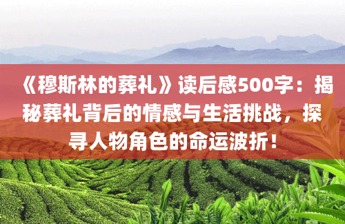 《穆斯林的葬礼》<a href=https://www.baixuetang.com target=_blank class=infotextkey>读后感</a>500字：揭秘葬礼背后的情感与生活挑战，探寻人物角色的命运波折！