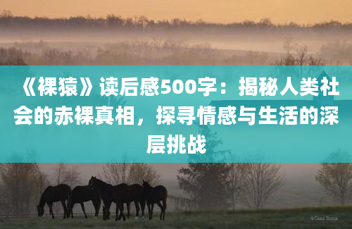 《裸猿》读后感500字：揭秘人类社会的赤裸真相，探寻情感与生活的深层挑战