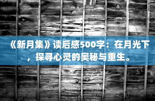 《新月集》读后感500字：在月光下，探寻心灵的奥秘与重生。