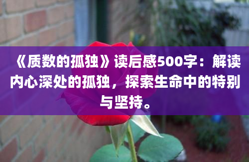 《质数的孤独》读后感500字：解读内心深处的孤独，探索生命中的特别与坚持。