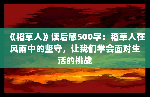 《稻草人》读后感500字：稻草人在风雨中的坚守，让我们学会面对生活的挑战