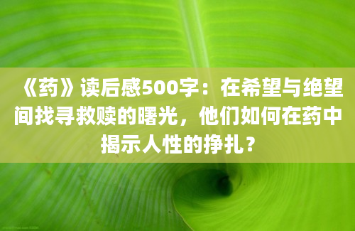 《药》读后感500字：在希望与绝望间找寻救赎的曙光，他们如何在药中揭示人性的挣扎？