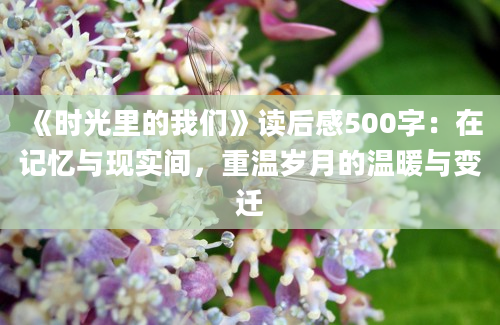 《时光里的我们》读后感500字：在记忆与现实间，重温岁月的温暖与变迁