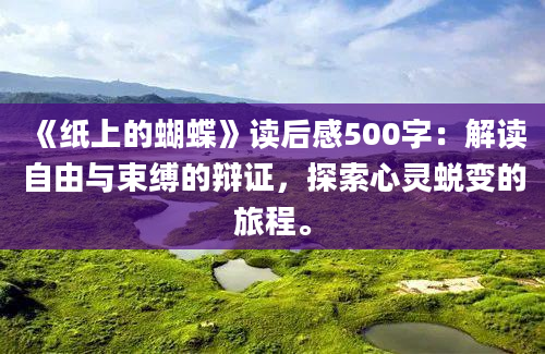 《纸上的蝴蝶》读后感500字：解读自由与束缚的辩证，探索心灵蜕变的旅程。