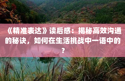 《精准表达》读后感：揭秘高效沟通的秘诀，如何在生活挑战中一语中的？