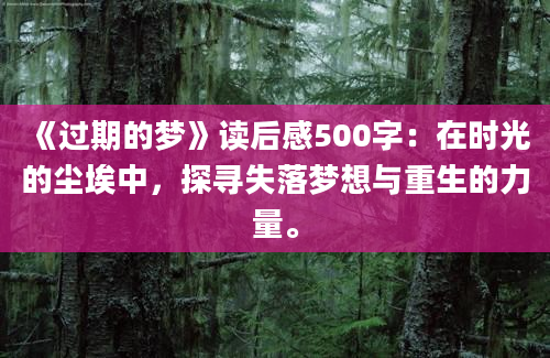 《过期的梦》读后感500字：在时光的尘埃中，探寻失落梦想与重生的力量。