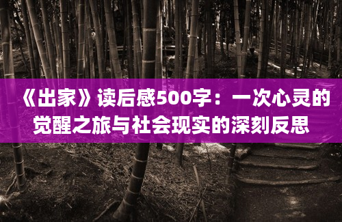 《出家》读后感500字：一次心灵的觉醒之旅与社会现实的深刻反思