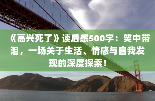 《高兴死了》读后感500字：笑中带泪，一场关于生活、情感与自我发现的深度探索！