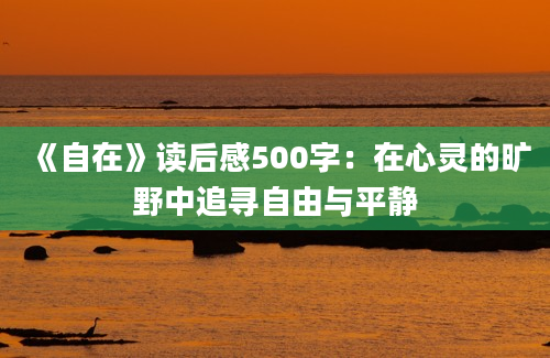 《自在》读后感500字：在心灵的旷野中追寻自由与平静