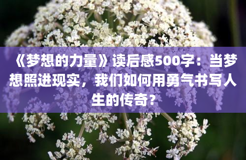 《梦想的力量》读后感500字：当梦想照进现实，我们如何用勇气书写人生的传奇？