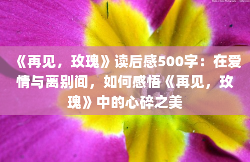 《再见，玫瑰》读后感500字：在爱情与离别间，如何感悟《再见，玫瑰》中的心碎之美