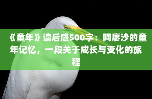 《童年》读后感500字：阿廖沙的童年记忆，一段关于成长与变化的旅程