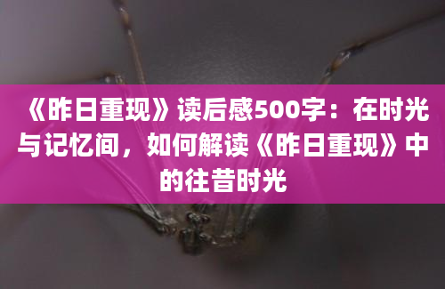 《昨日重现》读后感500字：在时光与记忆间，如何解读《昨日重现》中的往昔时光