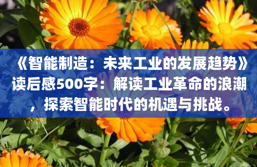 《智能制造：未来工业的发展趋势》读后感500字：解读工业革命的浪潮，探索智能时代的机遇与挑战。