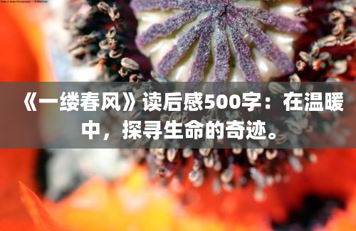 《一缕春风》读后感500字：在温暖中，探寻生命的奇迹。