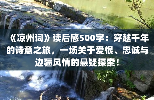 《凉州词》读后感500字：穿越千年的诗意之旅，一场关于爱恨、忠诚与边疆风情的悬疑探索！