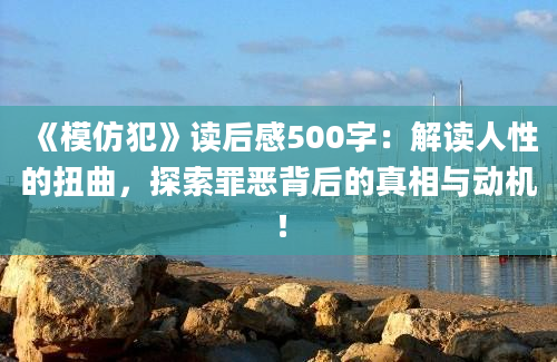 《模仿犯》读后感500字：解读人性的扭曲，探索罪恶背后的真相与动机！