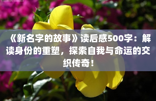 《新名字的故事》读后感500字：解读身份的重塑，探索自我与命运的交织传奇！