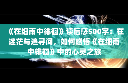 《在细雨中徘徊》读后感500字：在迷茫与追寻间，如何感悟《在细雨中徘徊》中的心灵之旅