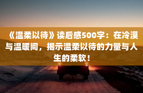 《温柔以待》读后感500字：在冷漠与温暖间，揭示温柔以待的力量与人生的柔软！