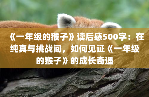 《一年级的猴子》读后感500字：在纯真与挑战间，如何见证《一年级的猴子》的成长奇遇