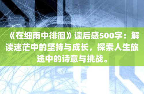 《在细雨中徘徊》读后感500字：解读迷茫中的坚持与成长，探索人生旅途中的诗意与挑战。