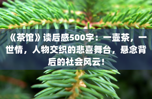 《茶馆》读后感500字：一壶茶，一世情，人物交织的悲喜舞台，悬念背后的社会风云！