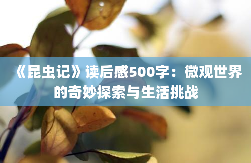 《昆虫记》读后感500字：微观世界的奇妙探索与生活挑战