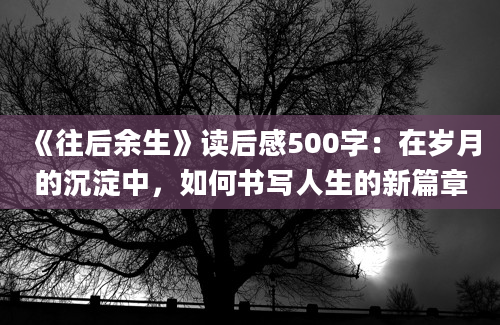 《往后余生》读后感500字：在岁月的沉淀中，如何书写人生的新篇章